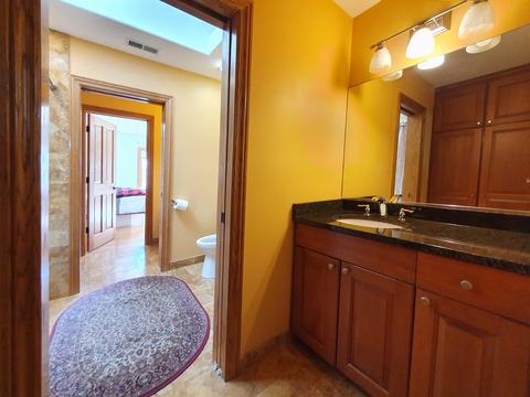 8258 Lorel Ave, Burbank, IL 60459 photo 31