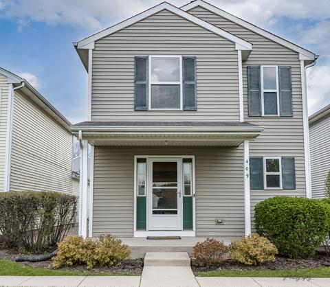 409 Andrea Ct, Harvard, IL 60033 photo 24