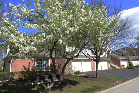 1635 Colfax Ct #3, Bartlett, IL 60103 photo 21