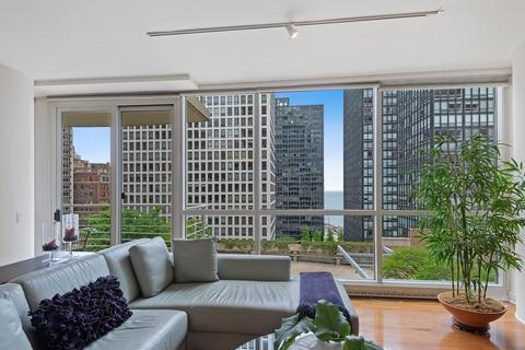 250 E Pearson St #1004, Chicago, IL 60611 photo 4