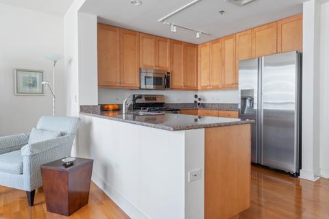 250 E Pearson St #1004, Chicago, IL 60611 photo 7