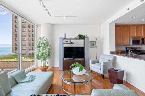 250 E Pearson St #1004, Chicago, IL 60611 photo 3