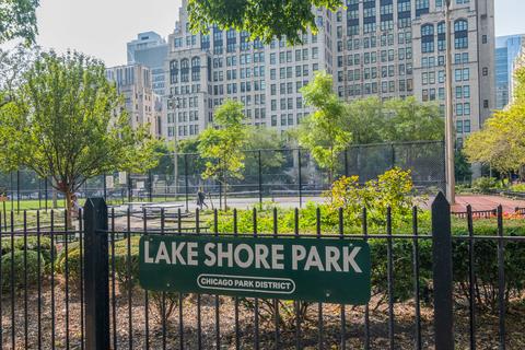 250 E Pearson St #1004, Chicago, IL 60611 photo 24