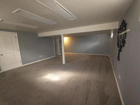 44 Devonshire Cir, Elgin, IL 60123 photo 28