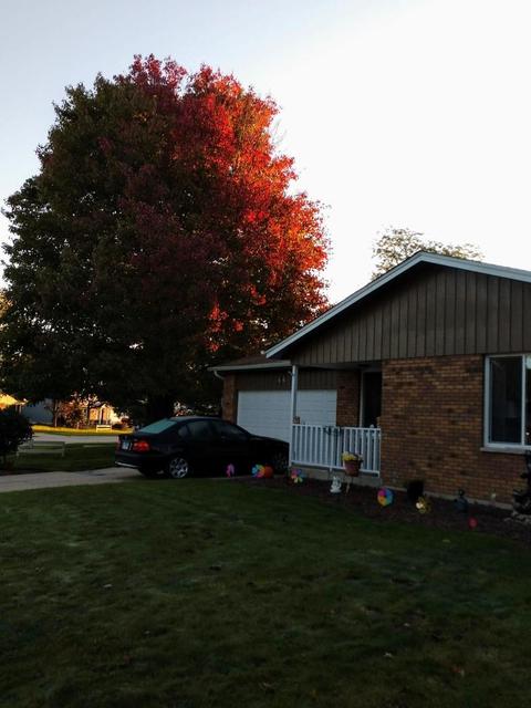 44 Devonshire Cir, Elgin, IL 60123 photo 4