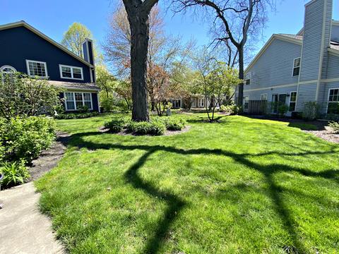 677 Bent Ridge Ln, Elgin, IL 60120 photo 2