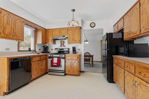 16519 Timberview Dr, Plainfield, IL 60586 photo 5