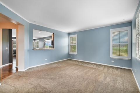 14731 Independence Dr, Plainfield, IL 60544 photo 12