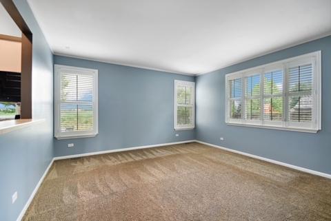 14731 Independence Dr, Plainfield, IL 60544 photo 11