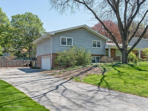 1205 S Main St, Wheaton, IL 60189 photo 2