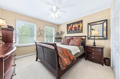 13605 Capista Dr, Plainfield, IL 60544 photo 30