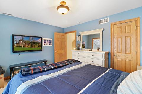 1609 Mason Corte Dr, Mchenry, IL 60050 photo 26