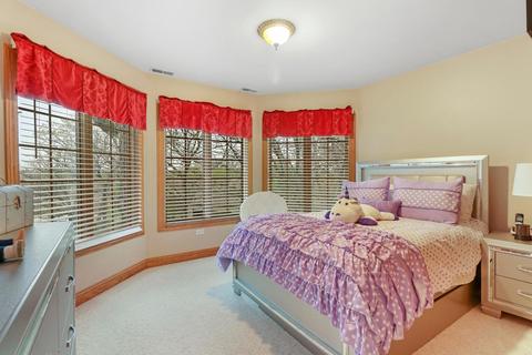 1609 Mason Corte Dr, Mchenry, IL 60050 photo 22