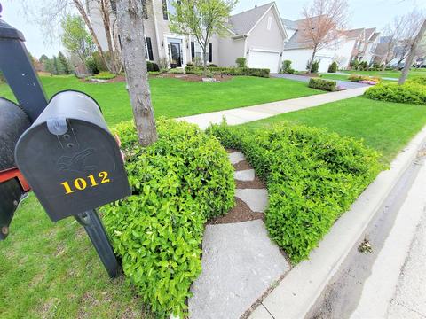 1012 Balmoral Ln, Elgin, IL 60120 photo 22