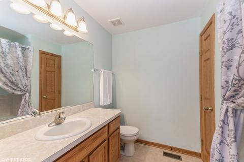 3133 Sandy Ridge Dr, Steger, IL 60475 photo 10