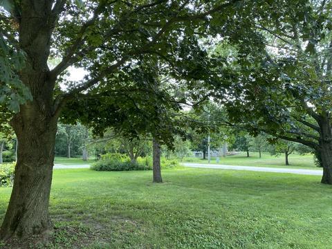 88 Gromer Rd, Elgin, IL 60120 photo 7