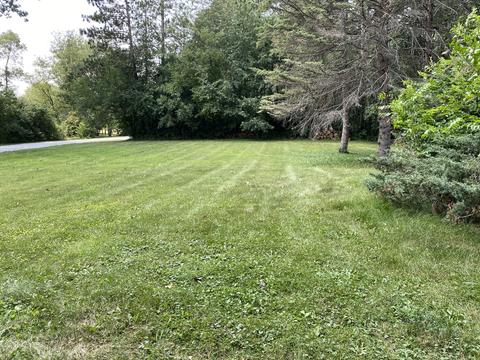 88 Gromer Rd, Elgin, IL 60120 photo 9