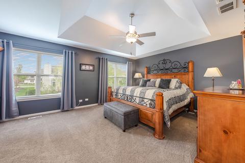 12836 Skyline Dr, Plainfield, IL 60585 photo 20