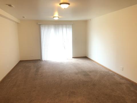 823 Park Bluff Cir, Elgin, IL 60120 photo 9