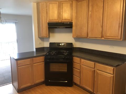 823 Park Bluff Cir, Elgin, IL 60120 photo 4