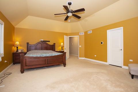 11632 Century Cir, Plainfield, IL 60585 photo 19