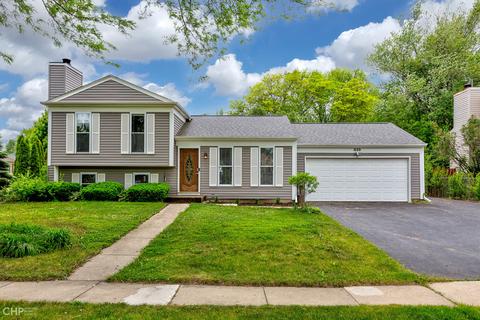 835 Tanglewood Dr, Algonquin, IL 60102 photo 1
