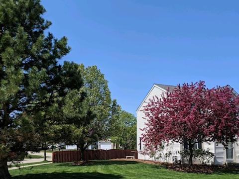 7017 Paradise Ct, Plainfield, IL 60586 photo 30