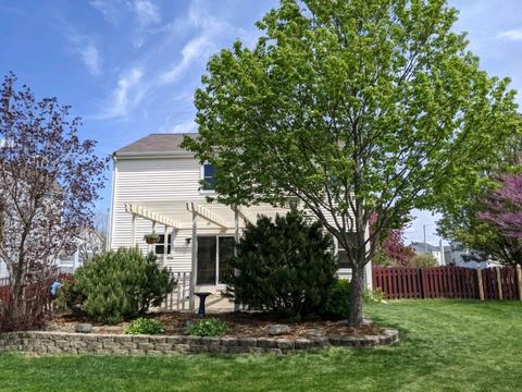 7017 Paradise Ct, Plainfield, IL 60586 photo 31
