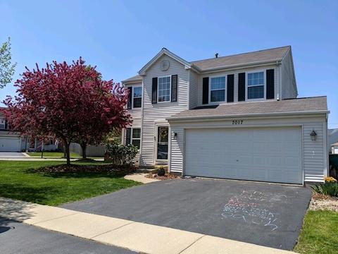 7017 Paradise Ct, Plainfield, IL 60586 photo 1