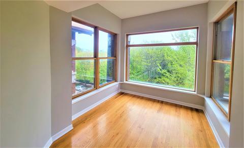 1024 E 46th St #4W, Chicago, IL 60653 photo 41