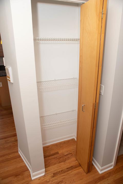 1024 E 46th St #4W, Chicago, IL 60653 photo 16