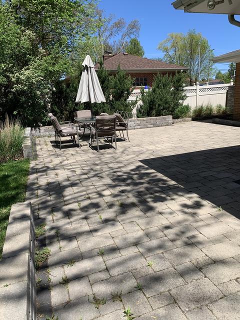 602 S Maple St, Mount Prospect, IL 60056 photo 10