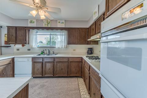 535 Bell Dr, Des Plaines, IL 60016 photo 13