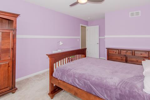 26419 Rustling Birch Way, Plainfield, IL 60585 photo 46