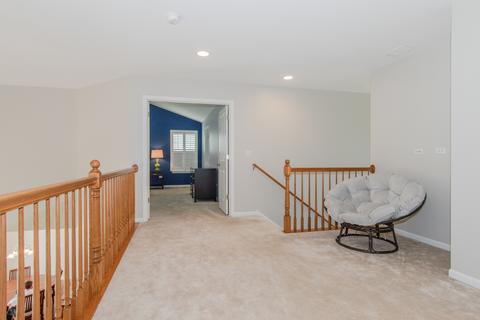 26419 Rustling Birch Way, Plainfield, IL 60585 photo 51