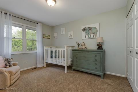 573 Plank Rd, Naperville, IL 60563 photo 19