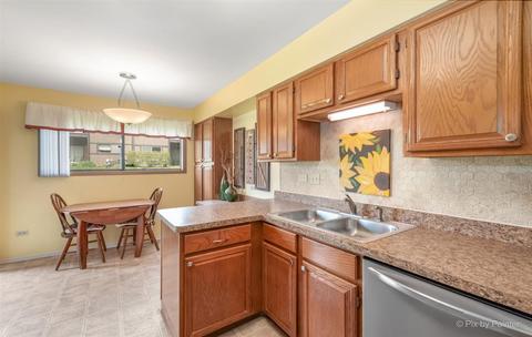 8 Creekside Cir #B, Elgin, IL 60123 photo 6