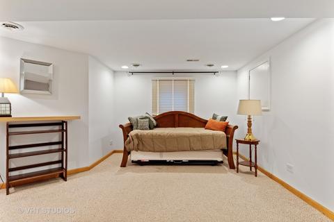 669 E Turner Ave, Roselle, IL 60172 photo 21