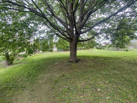811 Middle Rd, Fulton, IL 61252 photo 5