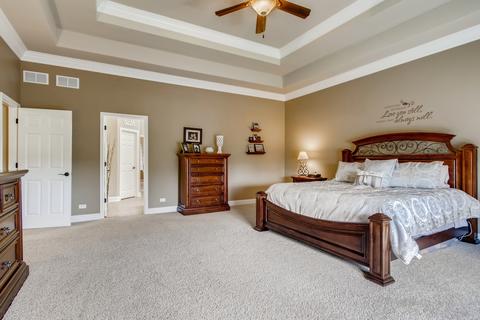 13439 Kerr St, Plainfield, IL 60585 photo 20