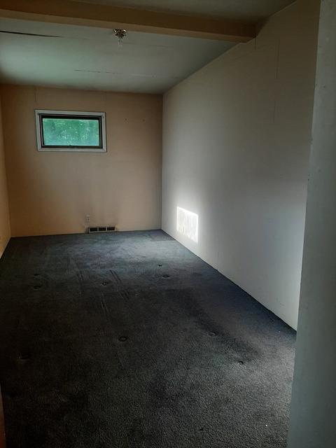 5 E Lions St, Newark, IL 60541 photo 10