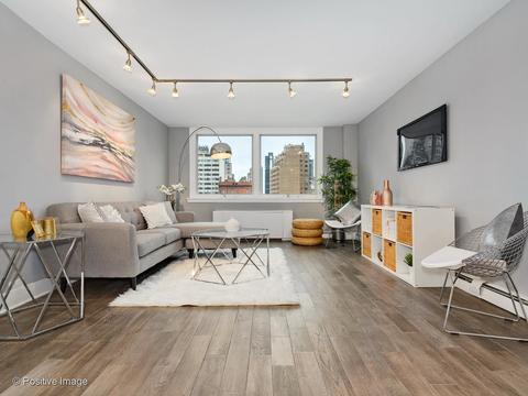 40 E Cedar St #9D, Chicago, IL 60611 photo 2