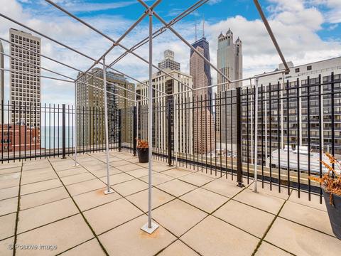 40 E Cedar St #9D, Chicago, IL 60611 photo 23
