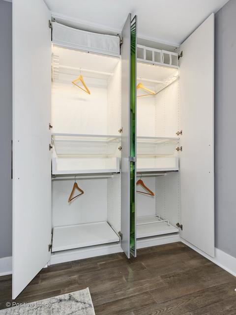 40 E Cedar St #9D, Chicago, IL 60611 photo 17