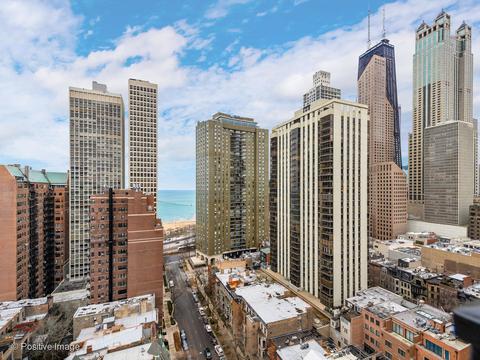 40 E Cedar St #9D, Chicago, IL 60611 photo 21