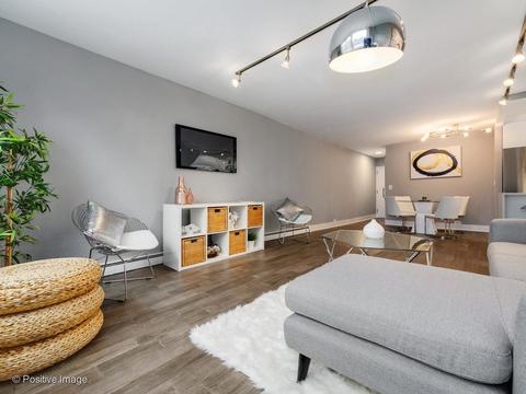 40 E Cedar St #9D, Chicago, IL 60611 photo 5