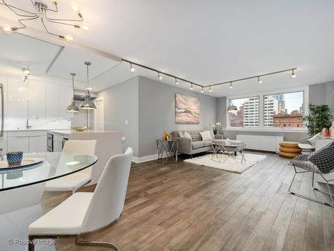 40 E Cedar St #9D, Chicago, IL 60611 photo 8