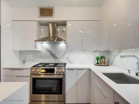 40 E Cedar St #9D, Chicago, IL 60611 photo 12