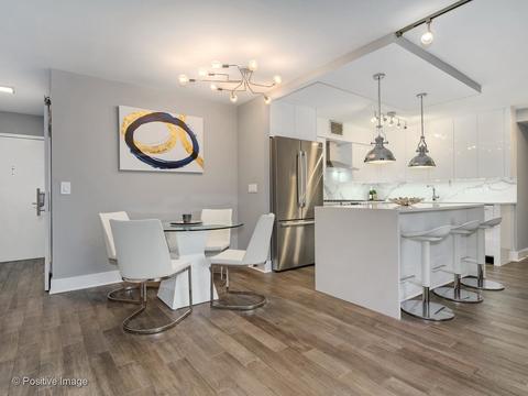 40 E Cedar St #9D, Chicago, IL 60611 photo 7