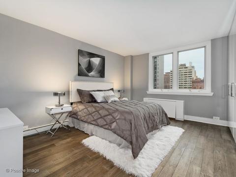 40 E Cedar St #9D, Chicago, IL 60611 photo 13